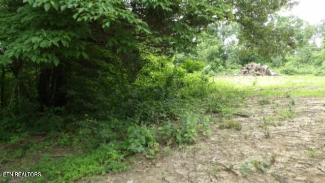 51.30AC Livingston Highway Byrdstown TN 38549