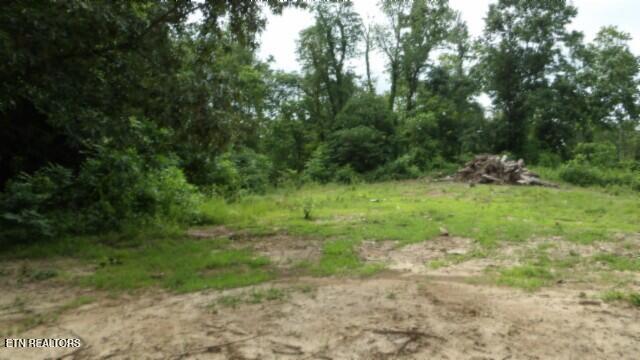 51.30AC Livingston Highway Byrdstown TN 38549
