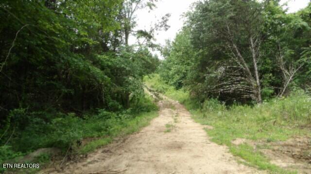 51.30AC Livingston Highway Byrdstown TN 38549