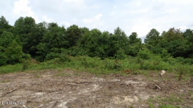 51.30AC Livingston Highway Byrdstown TN 38549