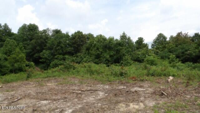 51.30AC Livingston Highway Byrdstown TN 38549