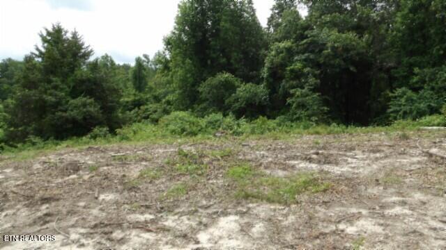 51.30AC Livingston Highway Byrdstown TN 38549