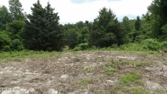 51.30AC Livingston Highway Byrdstown TN 38549