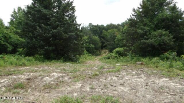 51.30AC Livingston Highway Byrdstown TN 38549