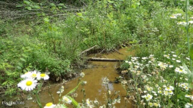 51.30AC Livingston Highway Byrdstown TN 38549
