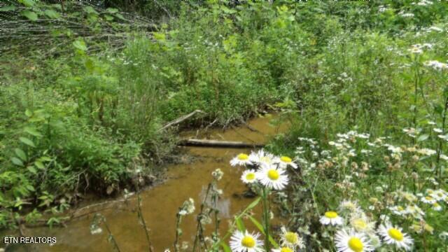 51.30AC Livingston Highway Byrdstown TN 38549