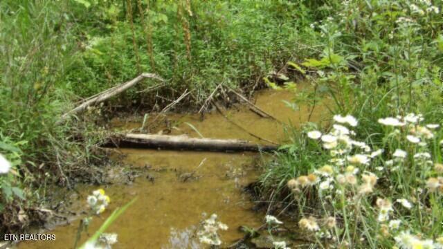 51.30AC Livingston Highway Byrdstown TN 38549