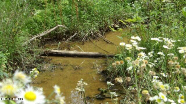 51.30AC Livingston Highway Byrdstown TN 38549
