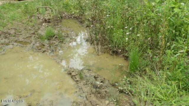 51.30AC Livingston Highway Byrdstown TN 38549