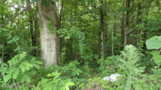 51.30AC Livingston Highway Byrdstown TN 38549