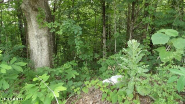 51.30AC Livingston Highway Byrdstown TN 38549