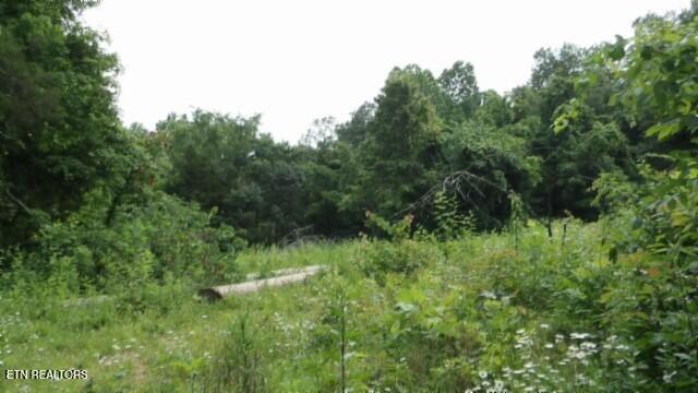 51.30AC Livingston Highway Byrdstown TN 38549
