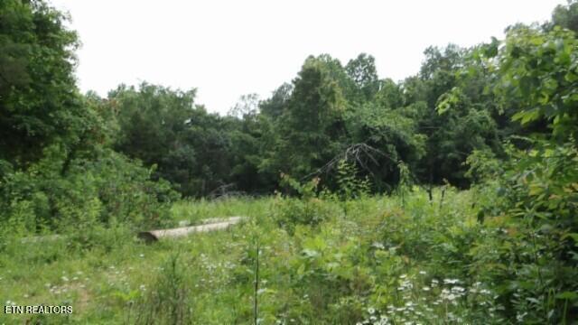 51.30AC Livingston Highway Byrdstown TN 38549