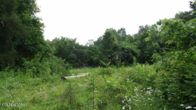 51.30AC Livingston Highway Byrdstown TN 38549