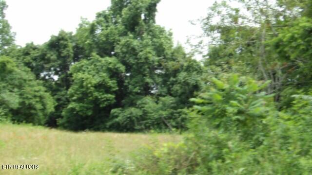 51.30AC Livingston Highway Byrdstown TN 38549