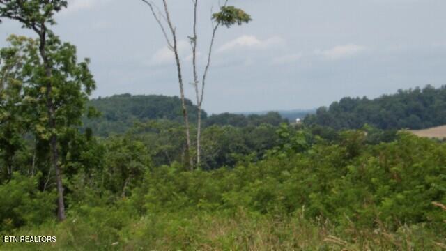 51.30AC Livingston Highway Byrdstown TN 38549