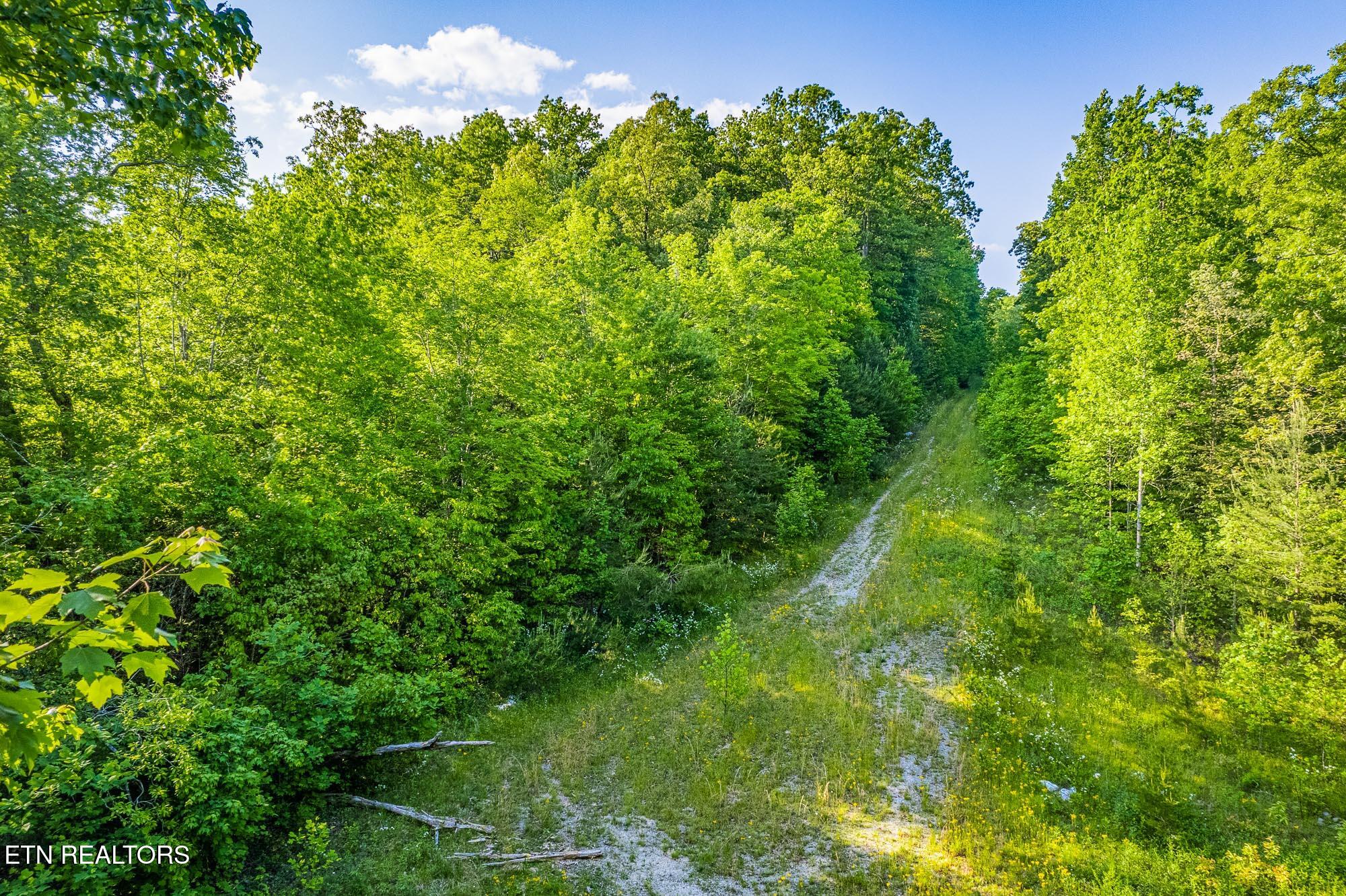 0 Pickett Park Highway Jamestown TN 38556