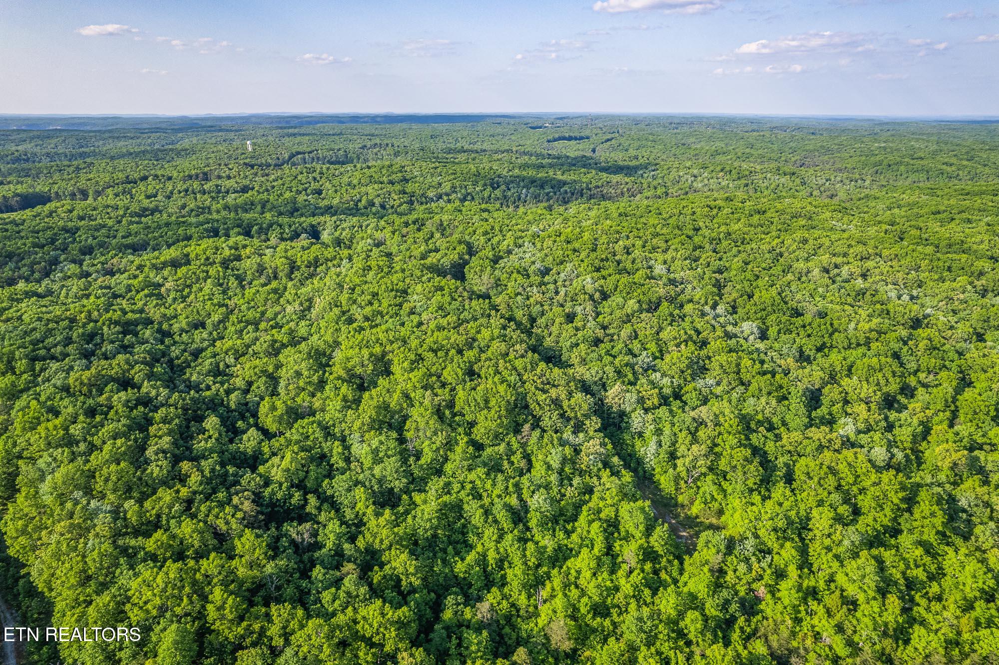 0 Pickett Park Highway Jamestown TN 38556