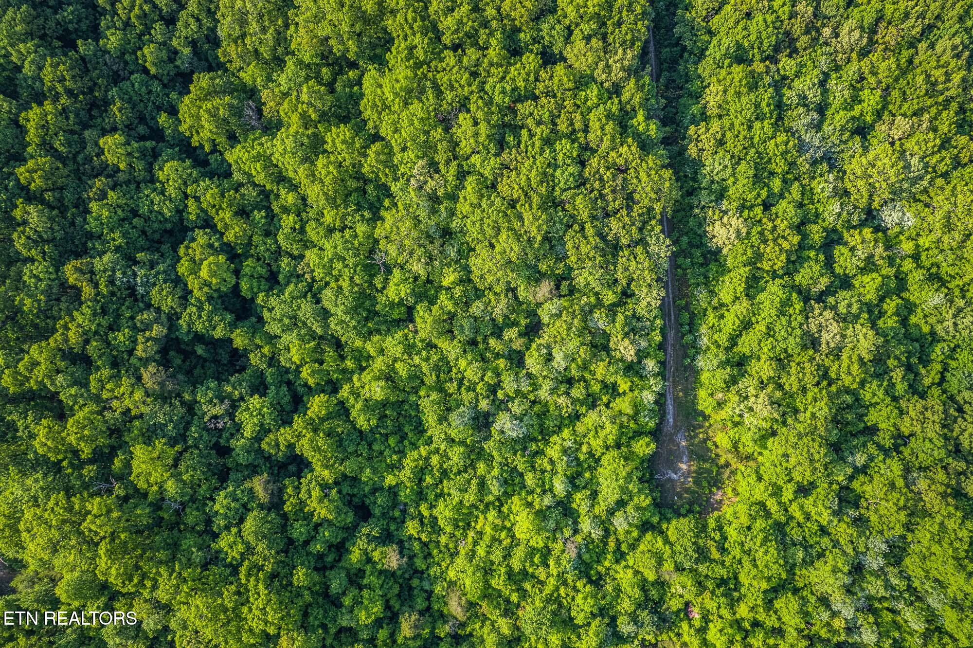 0 Pickett Park Highway Jamestown TN 38556