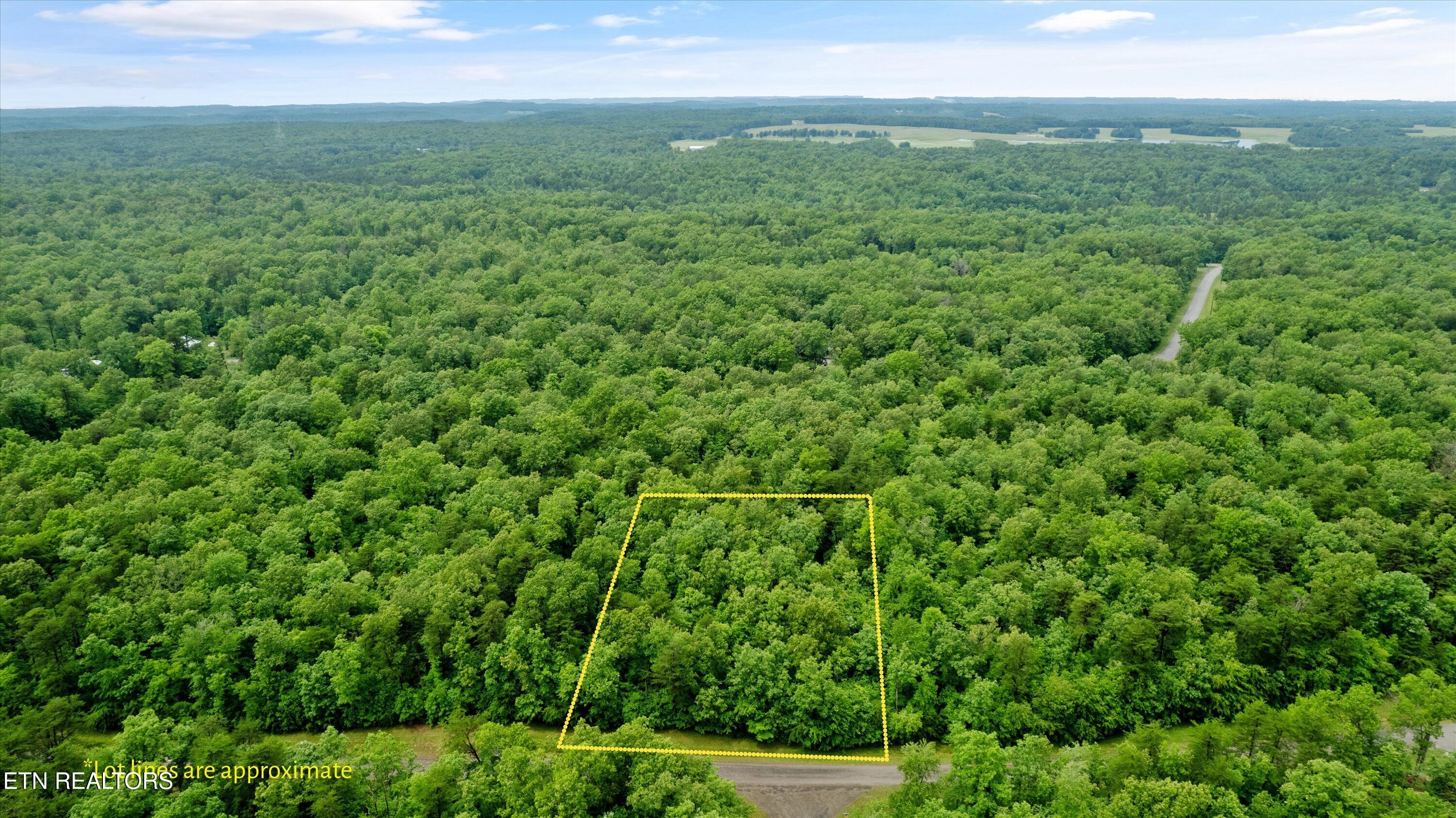 1.58 Ac Mountain Ash Drive Monterey TN 38574