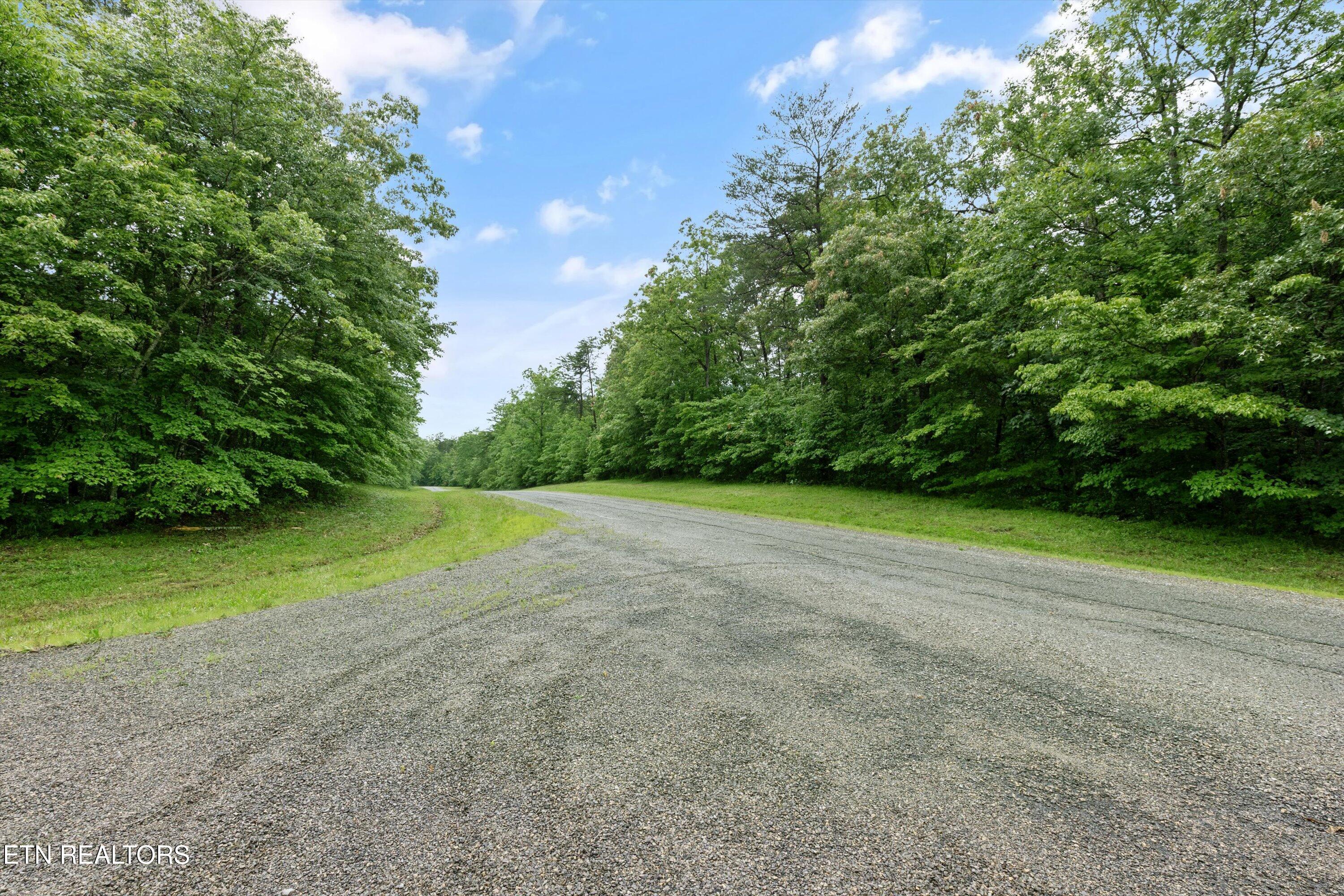 1.58 Ac Mountain Ash Drive Monterey TN 38574