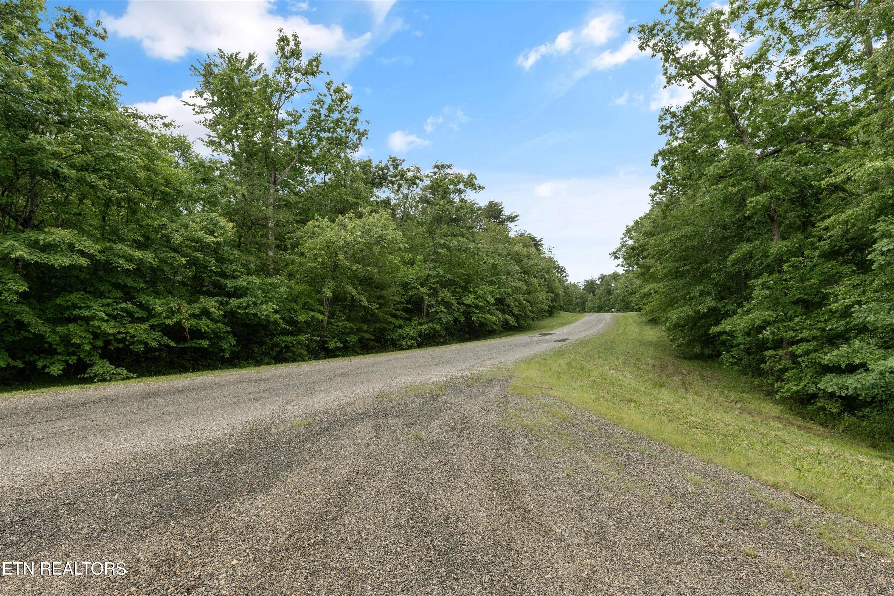 1.58 Ac Mountain Ash Drive Monterey TN 38574