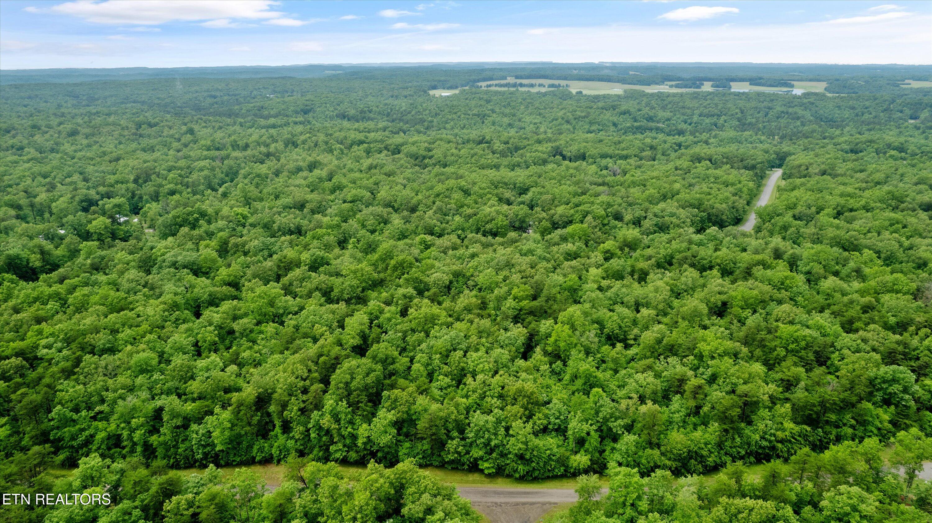 1.58 Ac Mountain Ash Drive Monterey TN 38574