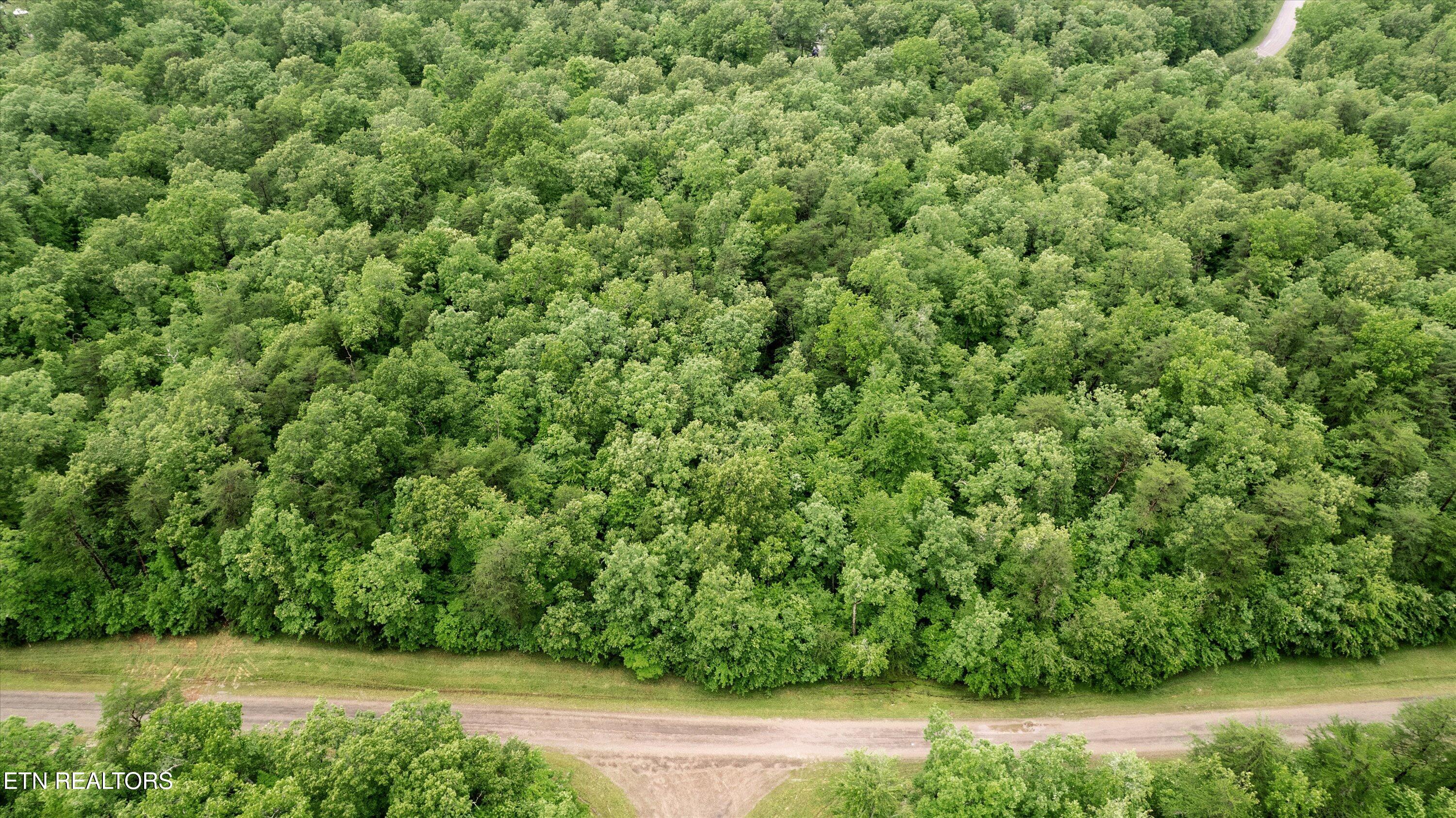 1.58 Ac Mountain Ash Drive Monterey TN 38574