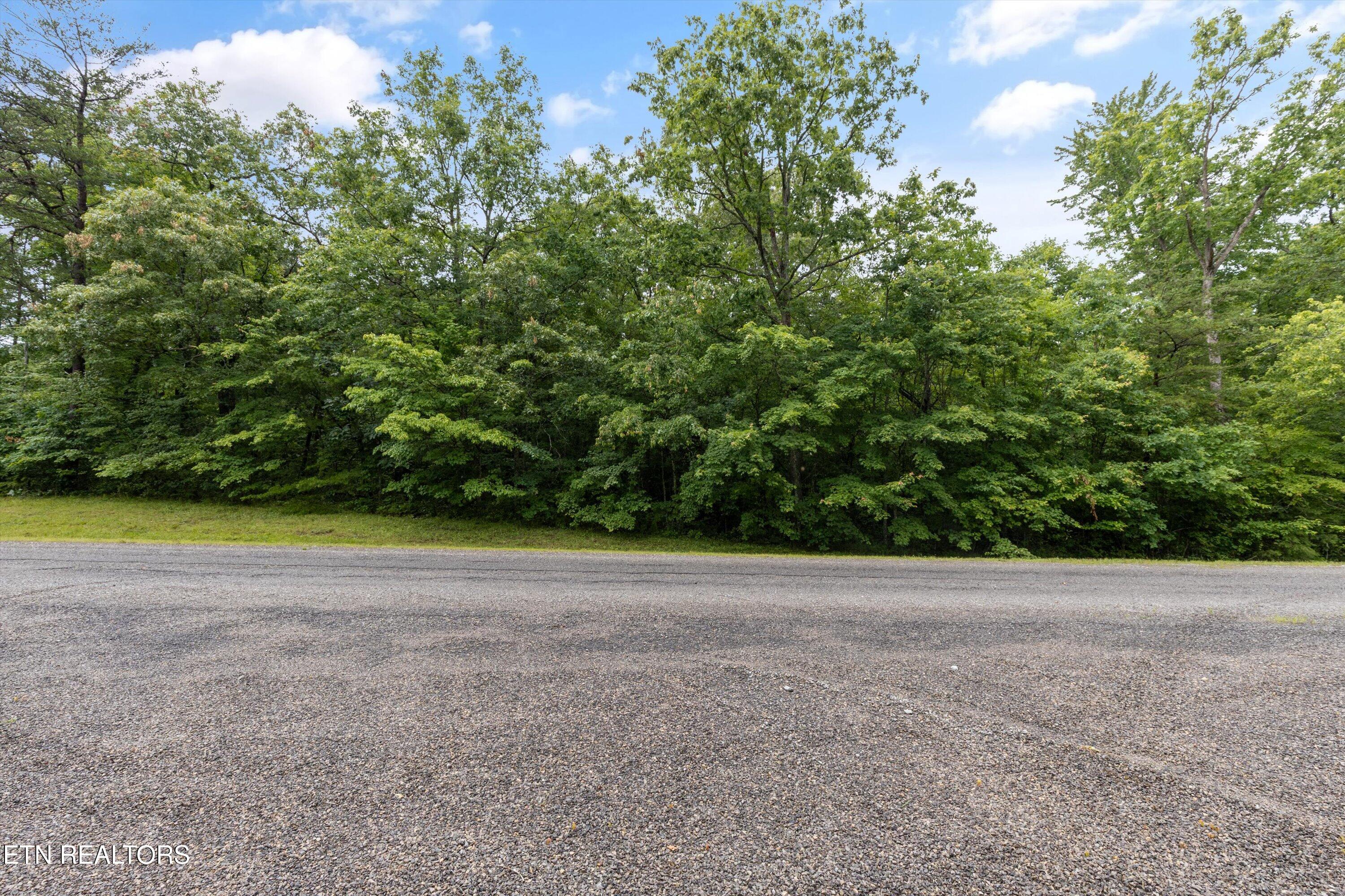 1.58 Ac Mountain Ash Drive Monterey TN 38574