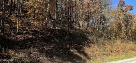 Emerald Springs Loop Sevierville TN 37862