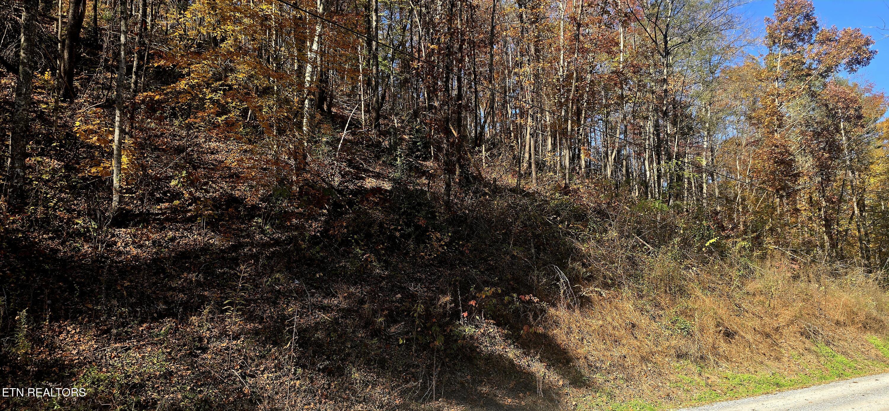 Emerald Springs Loop Sevierville TN 37862
