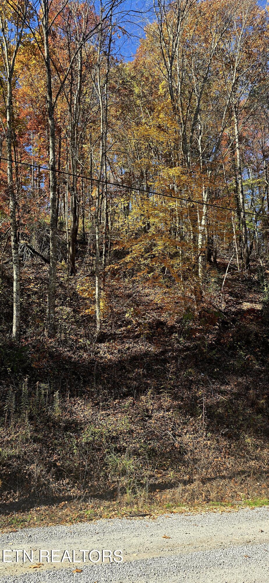 Emerald Springs Loop Sevierville TN 37862