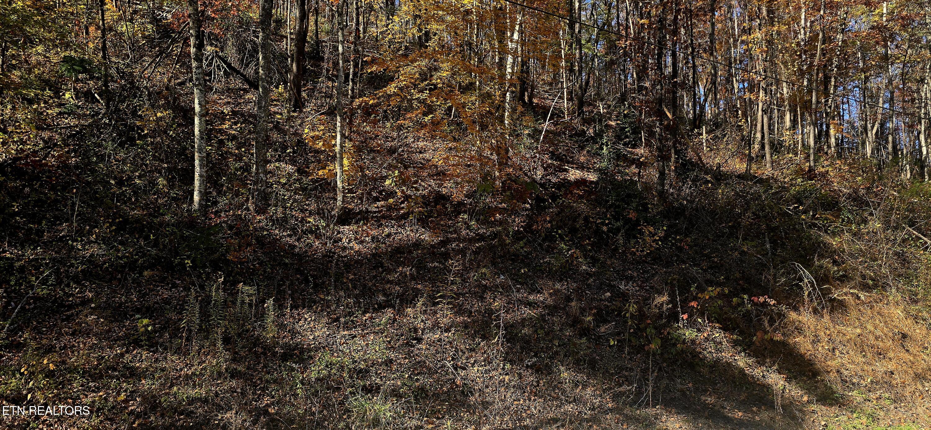 Emerald Springs Loop Sevierville TN 37862