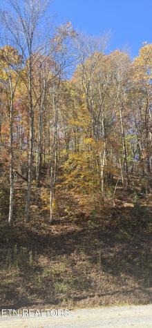 Emerald Springs Loop Sevierville TN 37862