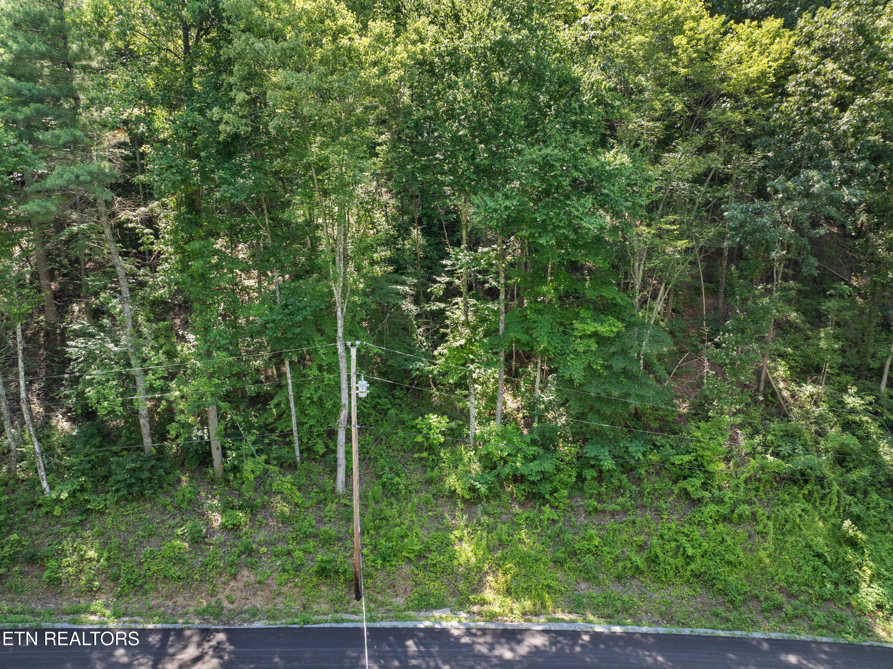 Emerald Springs Loop Sevierville TN 37862