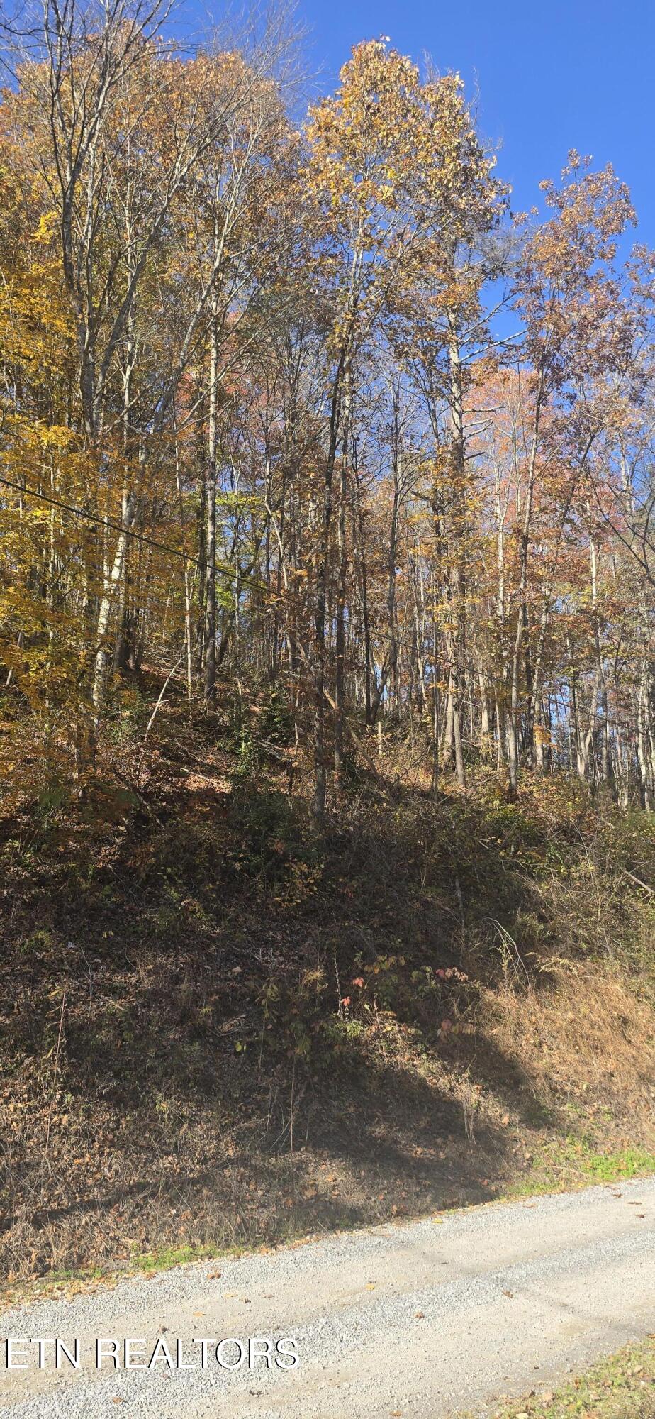 Emerald Springs Loop Sevierville TN 37862