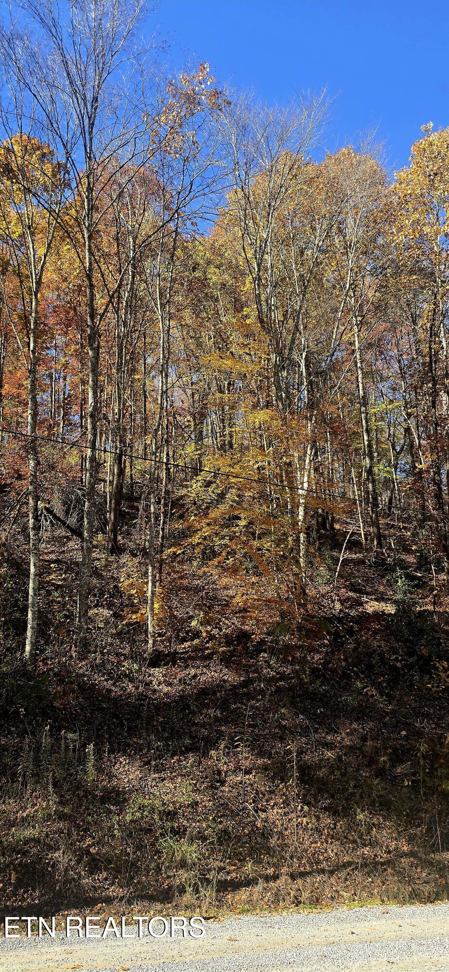 Emerald Springs Loop Sevierville TN 37862
