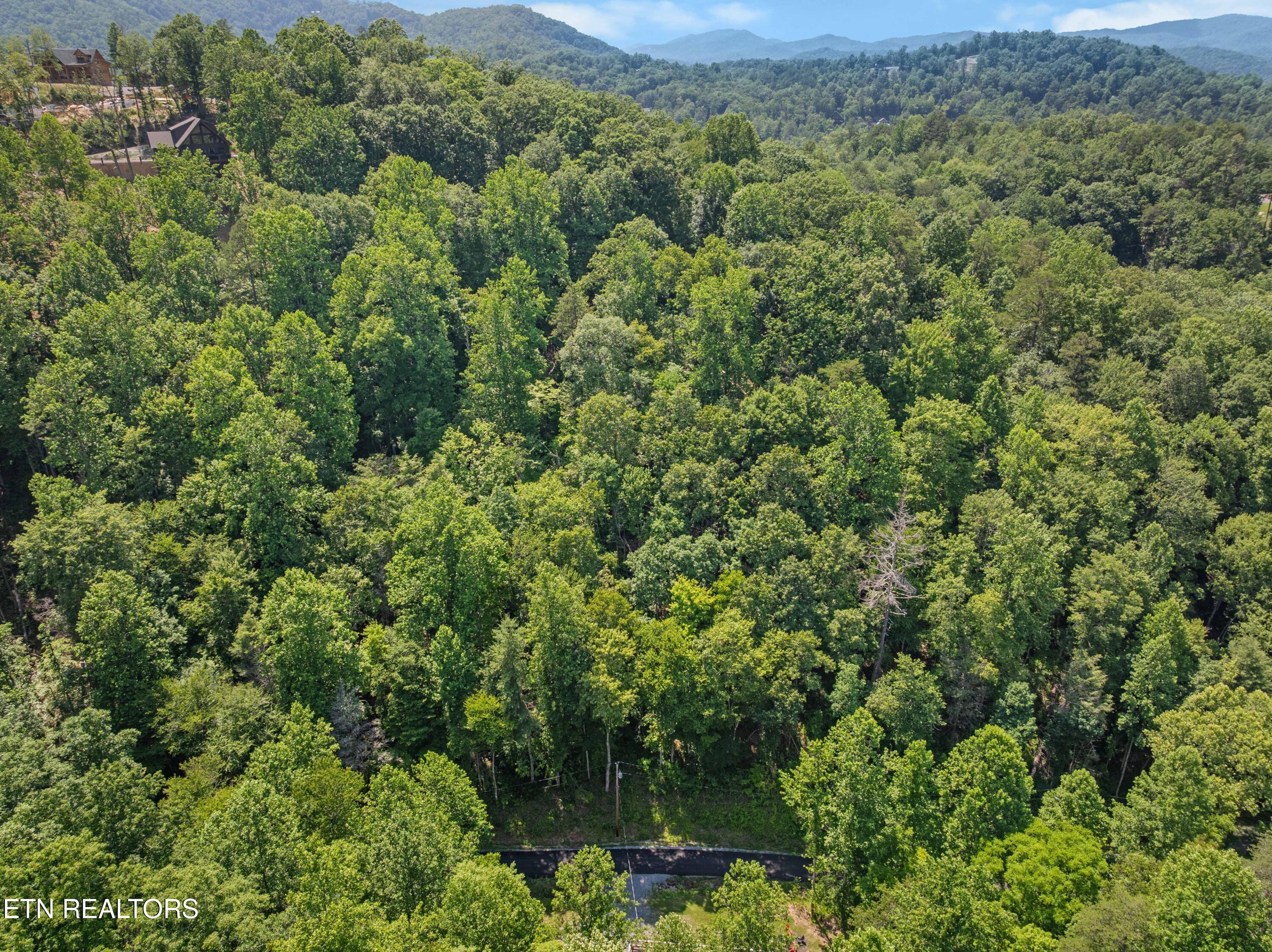 Emerald Springs Loop Sevierville TN 37862