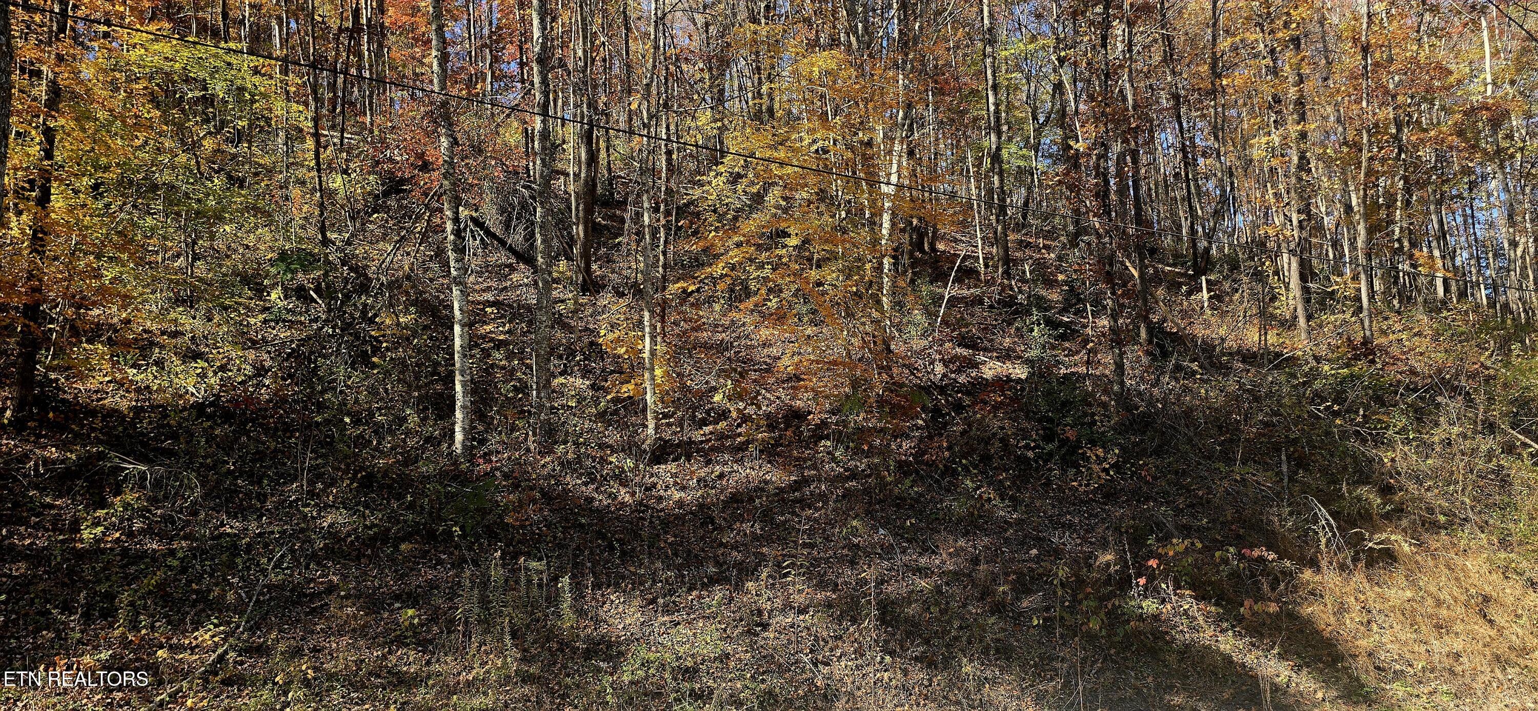 Emerald Springs Loop Sevierville TN 37862