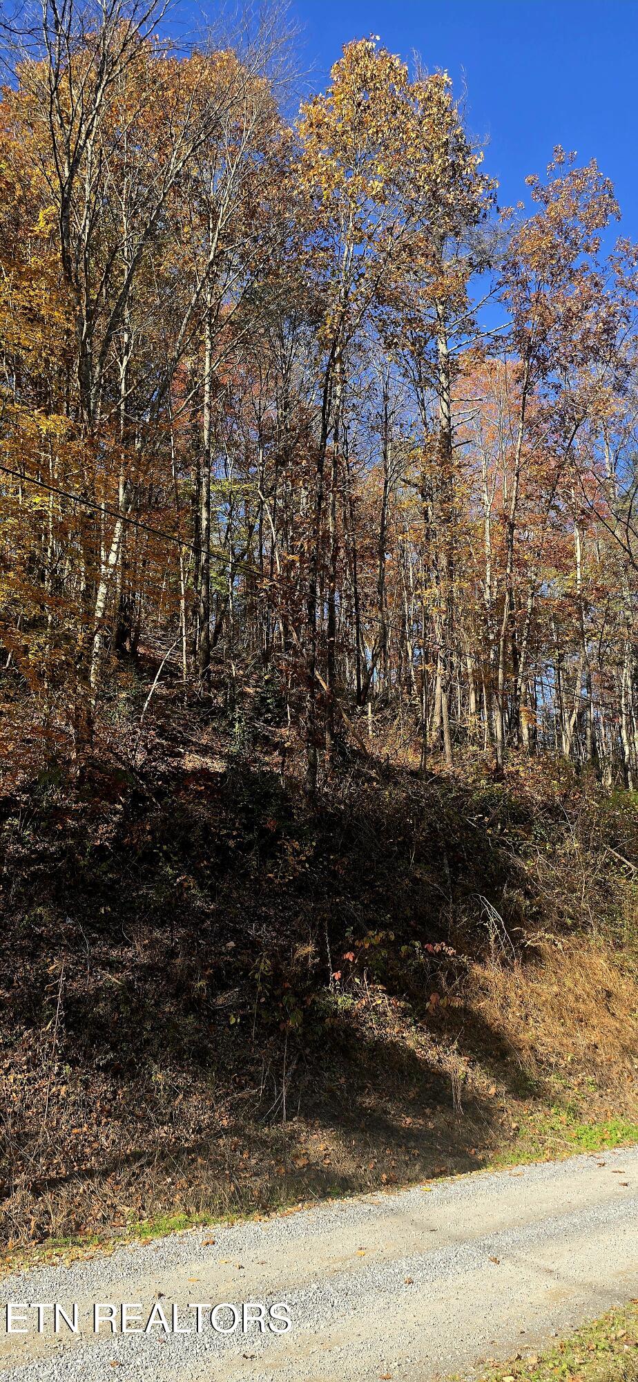 Emerald Springs Loop Sevierville TN 37862