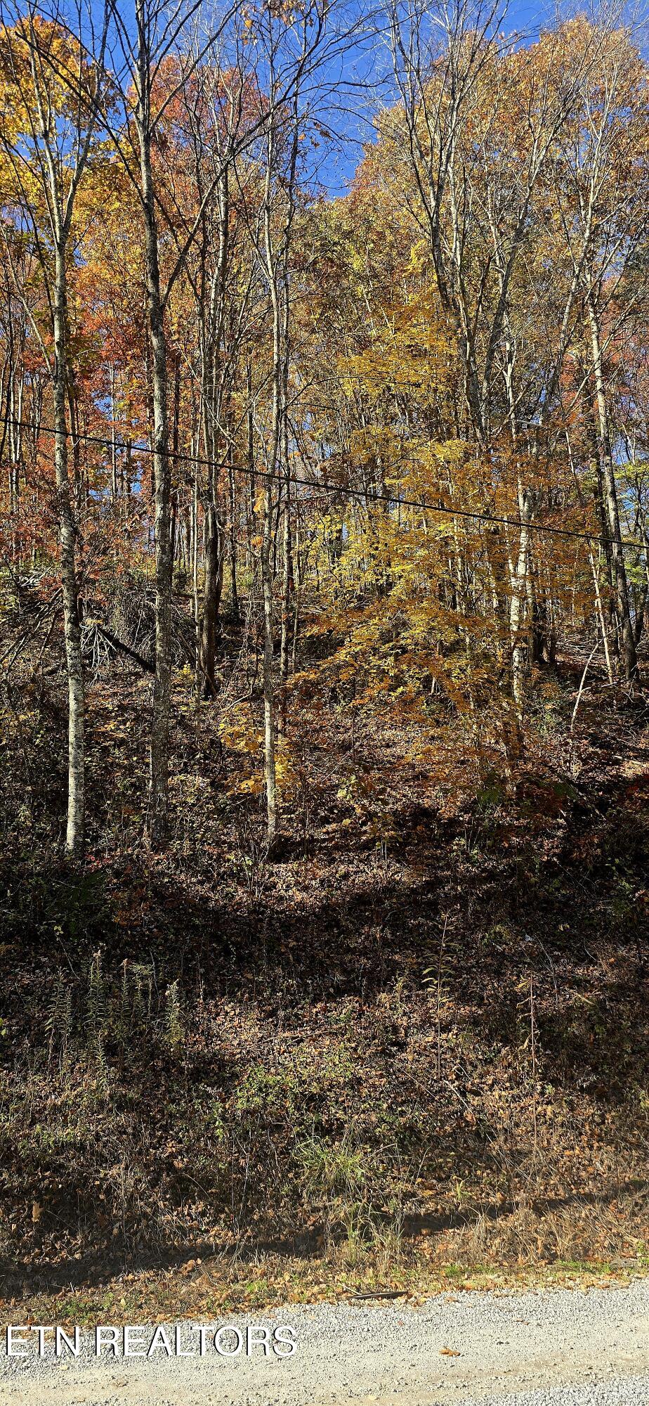 Emerald Springs Loop Sevierville TN 37862