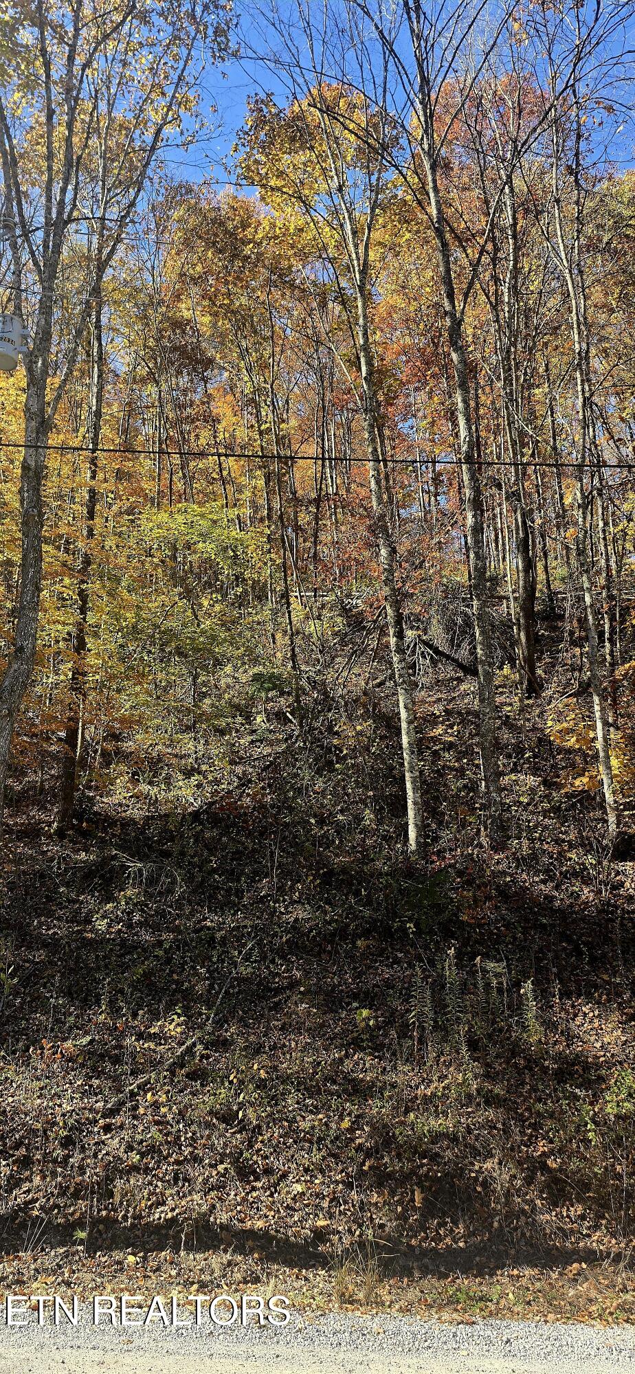 Emerald Springs Loop Sevierville TN 37862