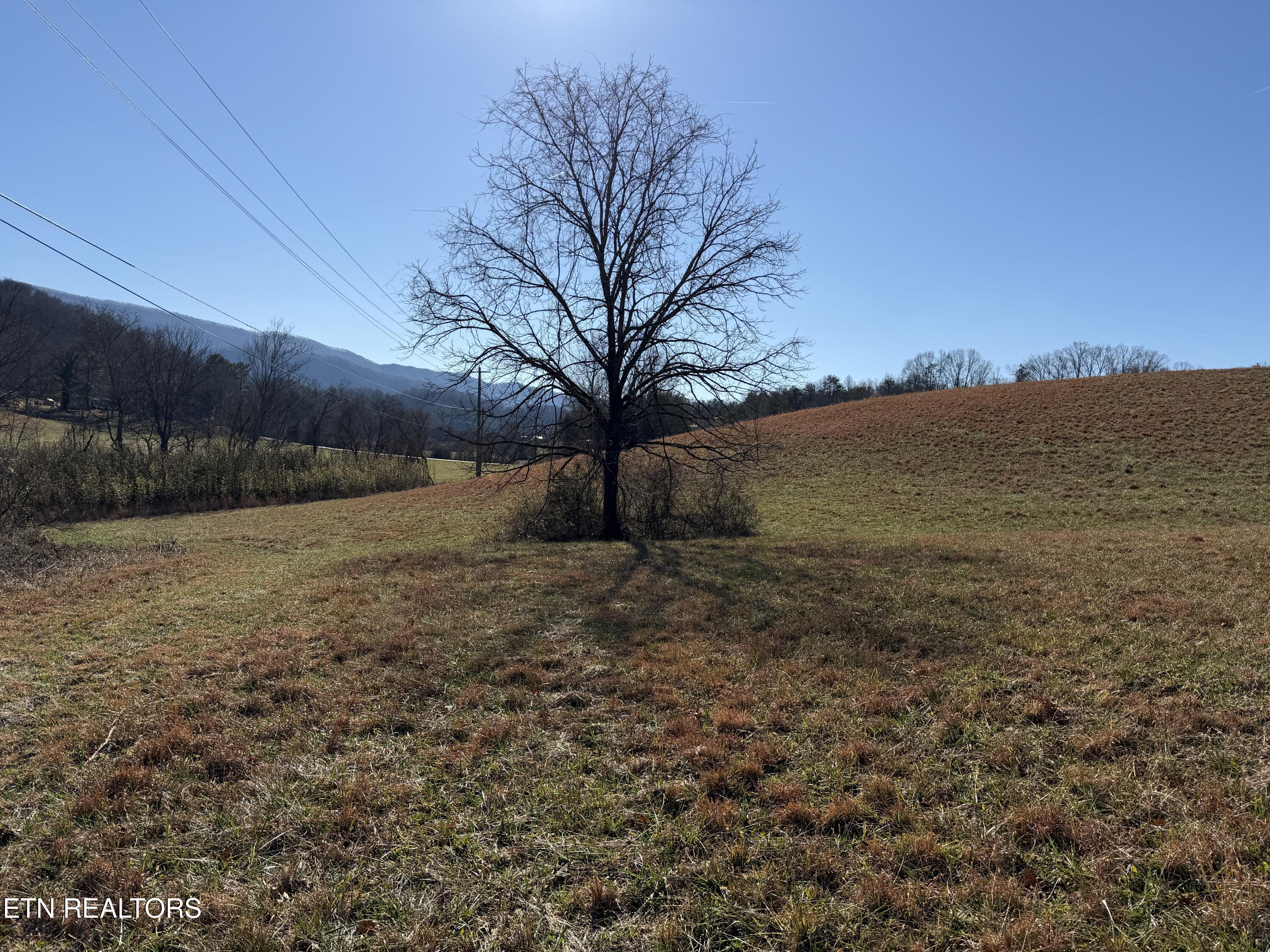 1210 Dupont Road Seymour TN 37865