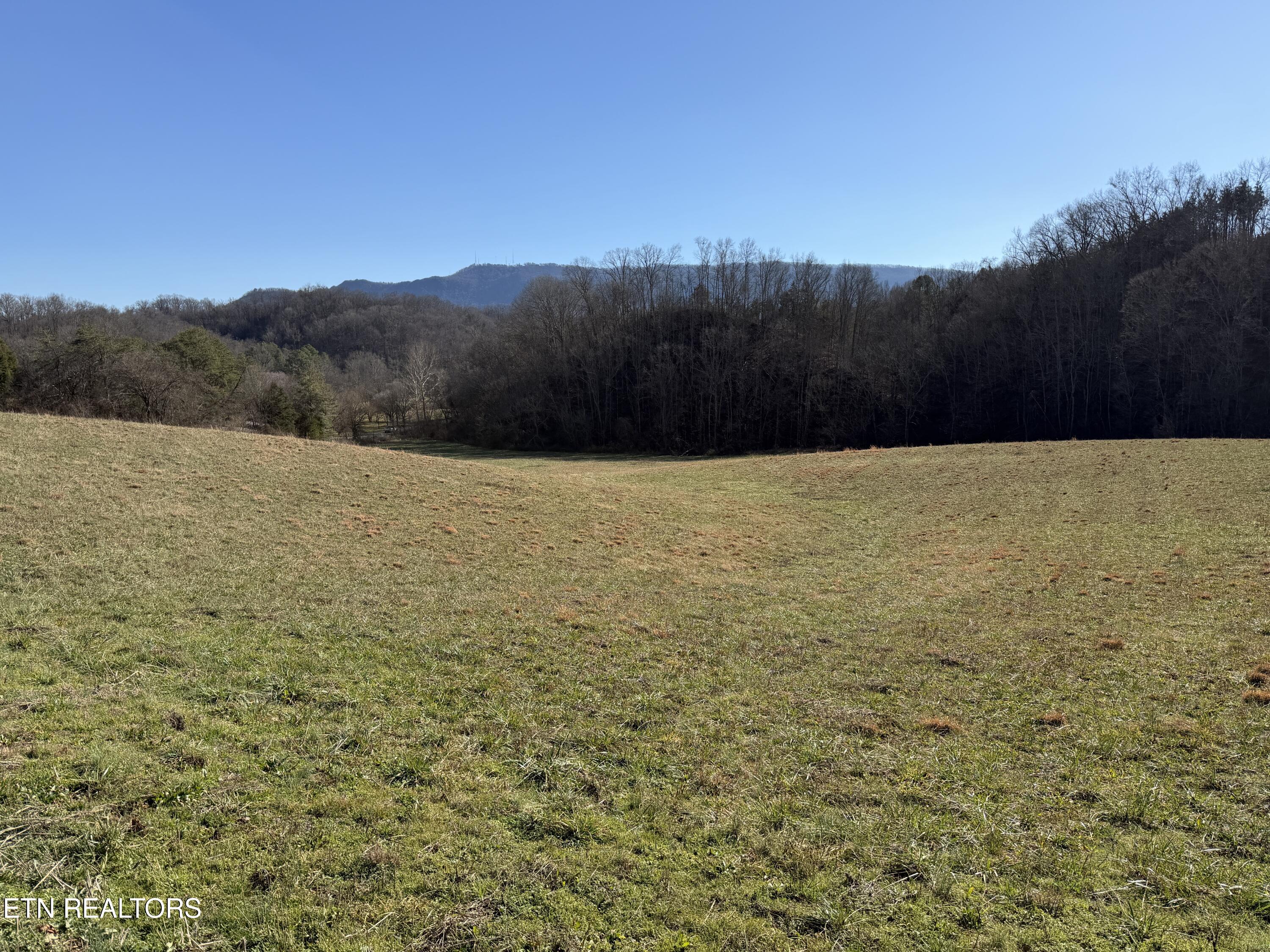 1210 Dupont Road Seymour TN 37865