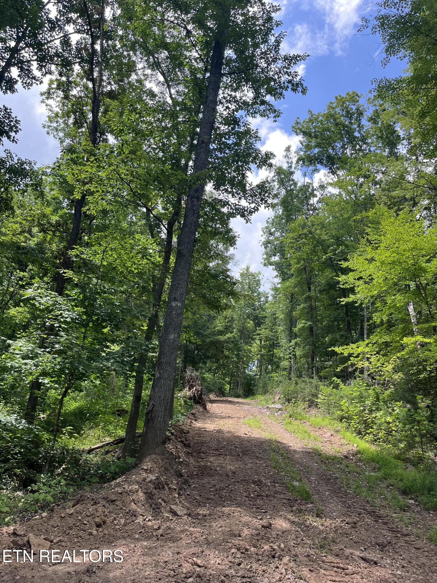 Tower Road Tazewell TN 37879