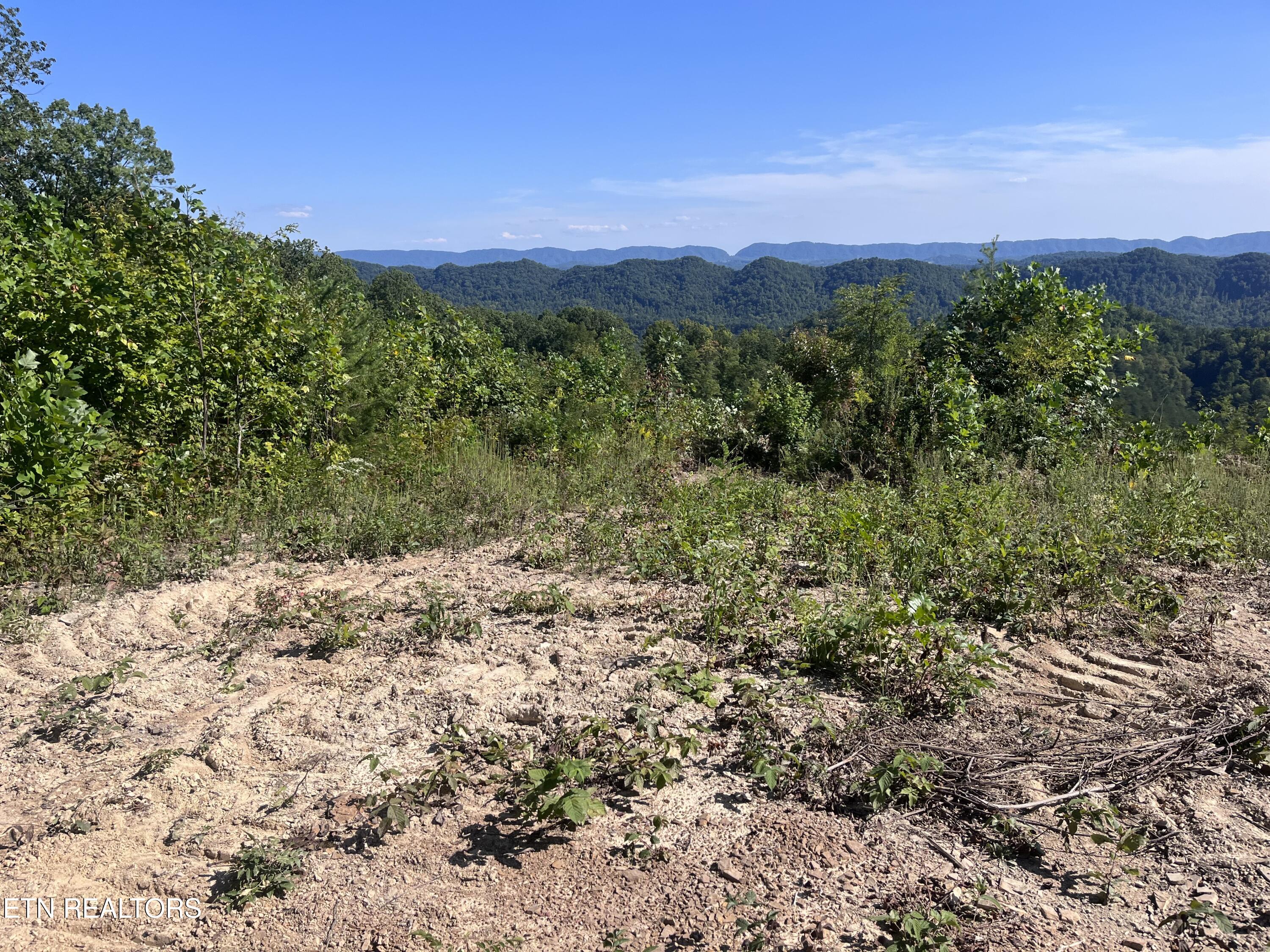 Tower Road Tazewell TN 37879