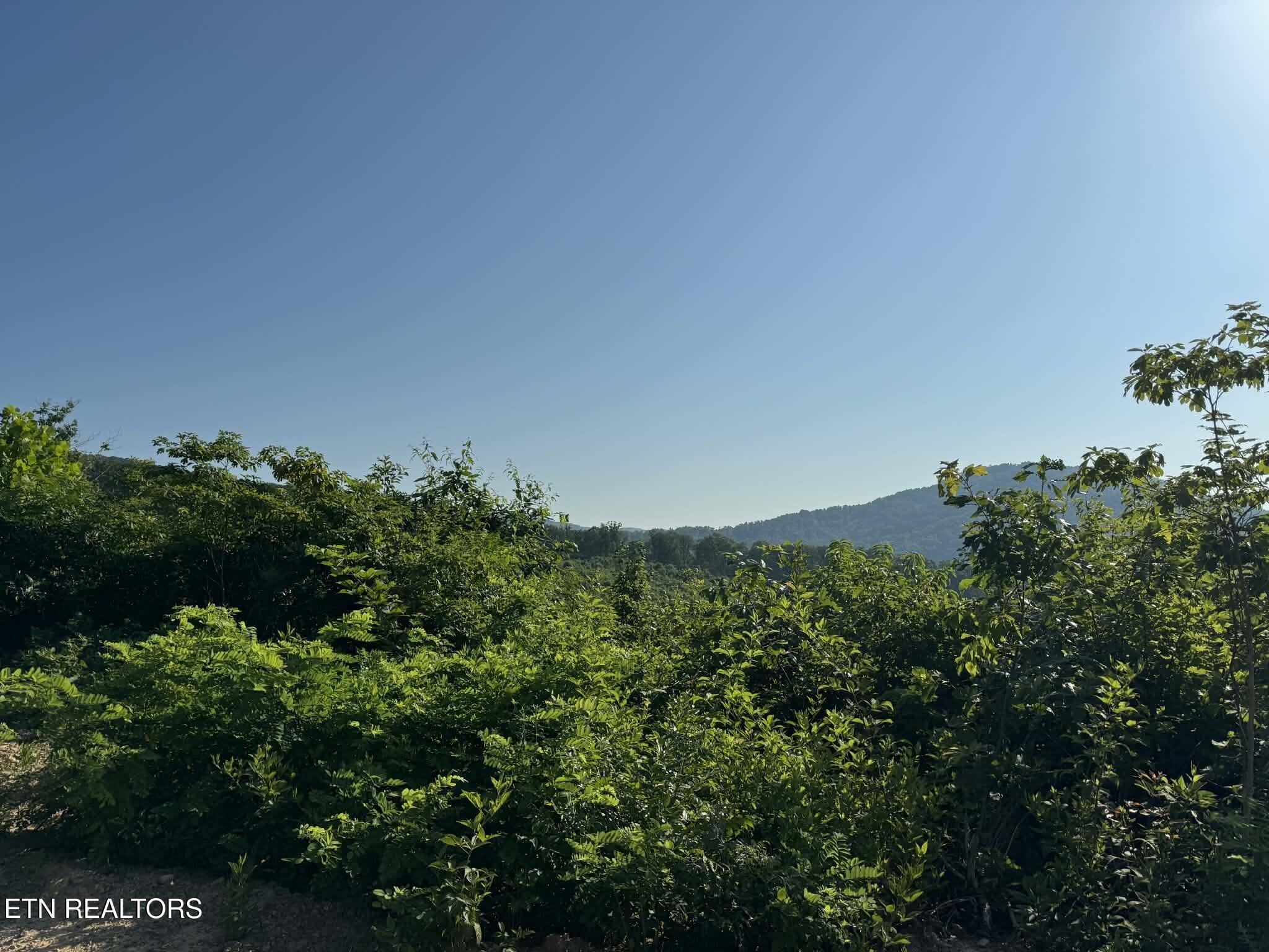 Tower Road Tazewell TN 37879