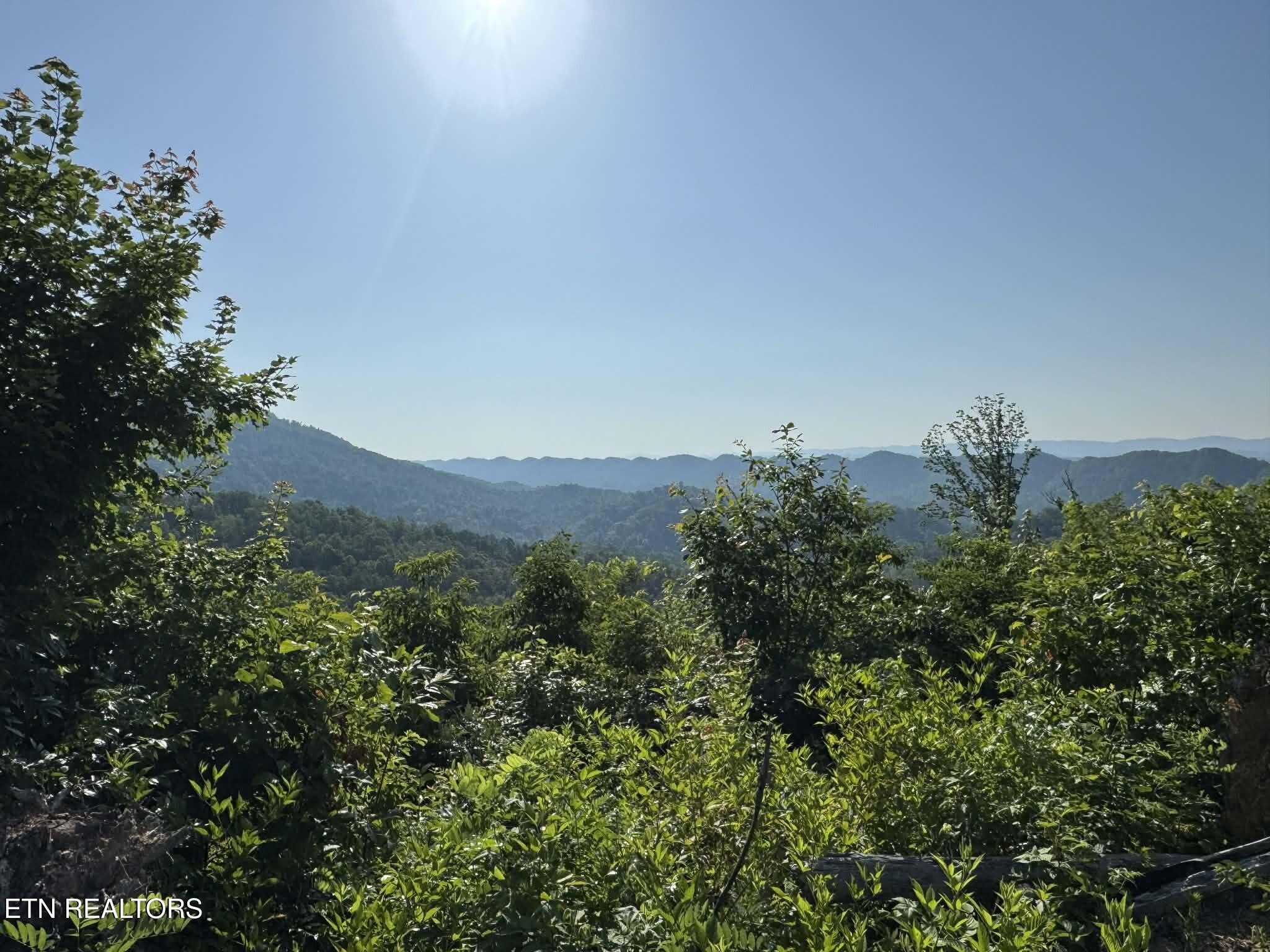 Tower Road Tazewell TN 37879