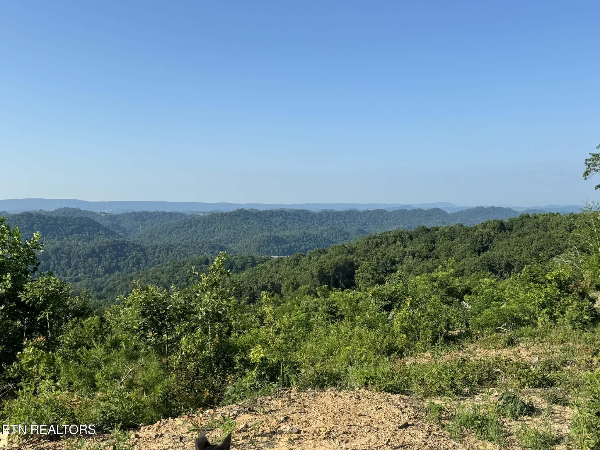 Tower Road Tazewell TN 37879