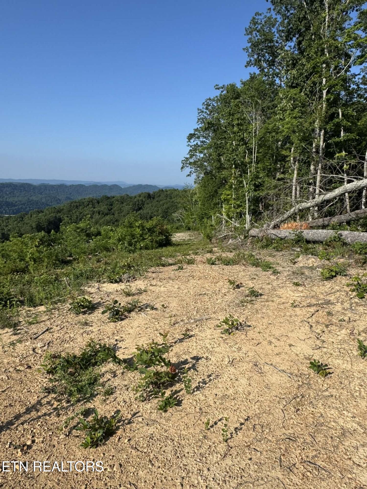 Tower Road Tazewell TN 37879
